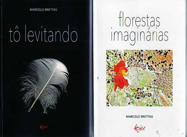 Livros: Tô levitando e Florestas Imaginárias de Marcelo Brettas, foto 1