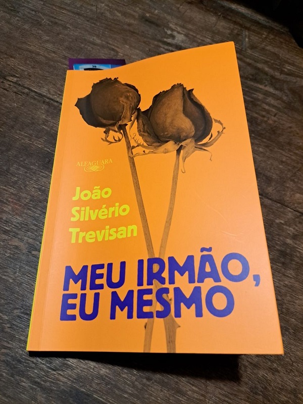 Resenha do livro: Minha vez de brilhar